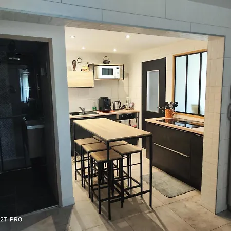 Appartement Renovee Dans Maison Ancienne Amancy Exterior foto
